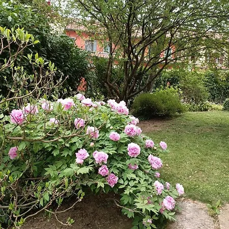 Nella Casa Dei Tigli *