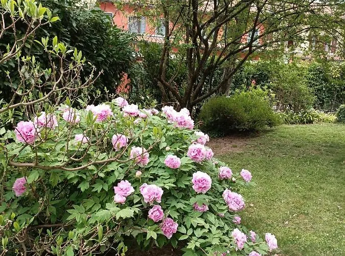 Nella Casa Dei Tigli *